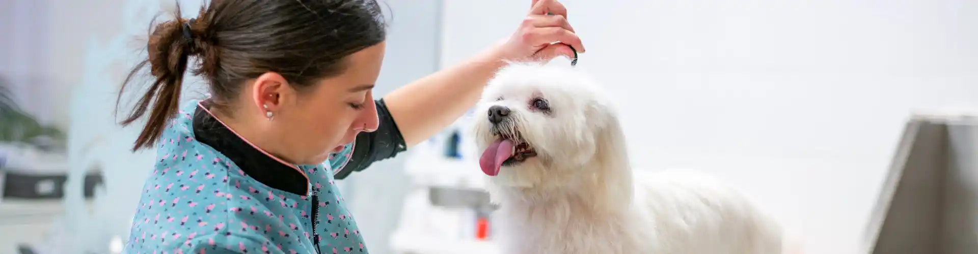 Grooming & Freshening