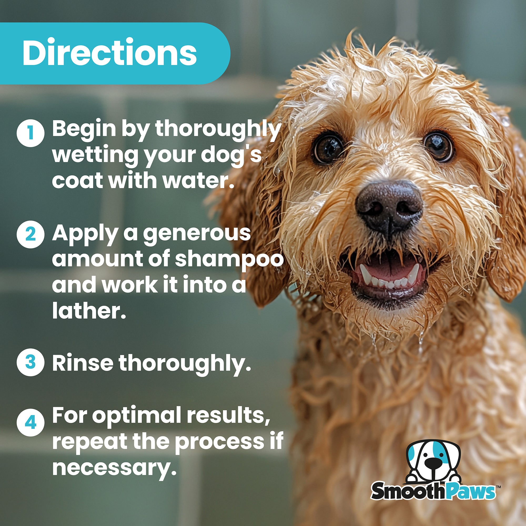 Smooth Paws 2-in-1 Dog Shampoo & Conditioner